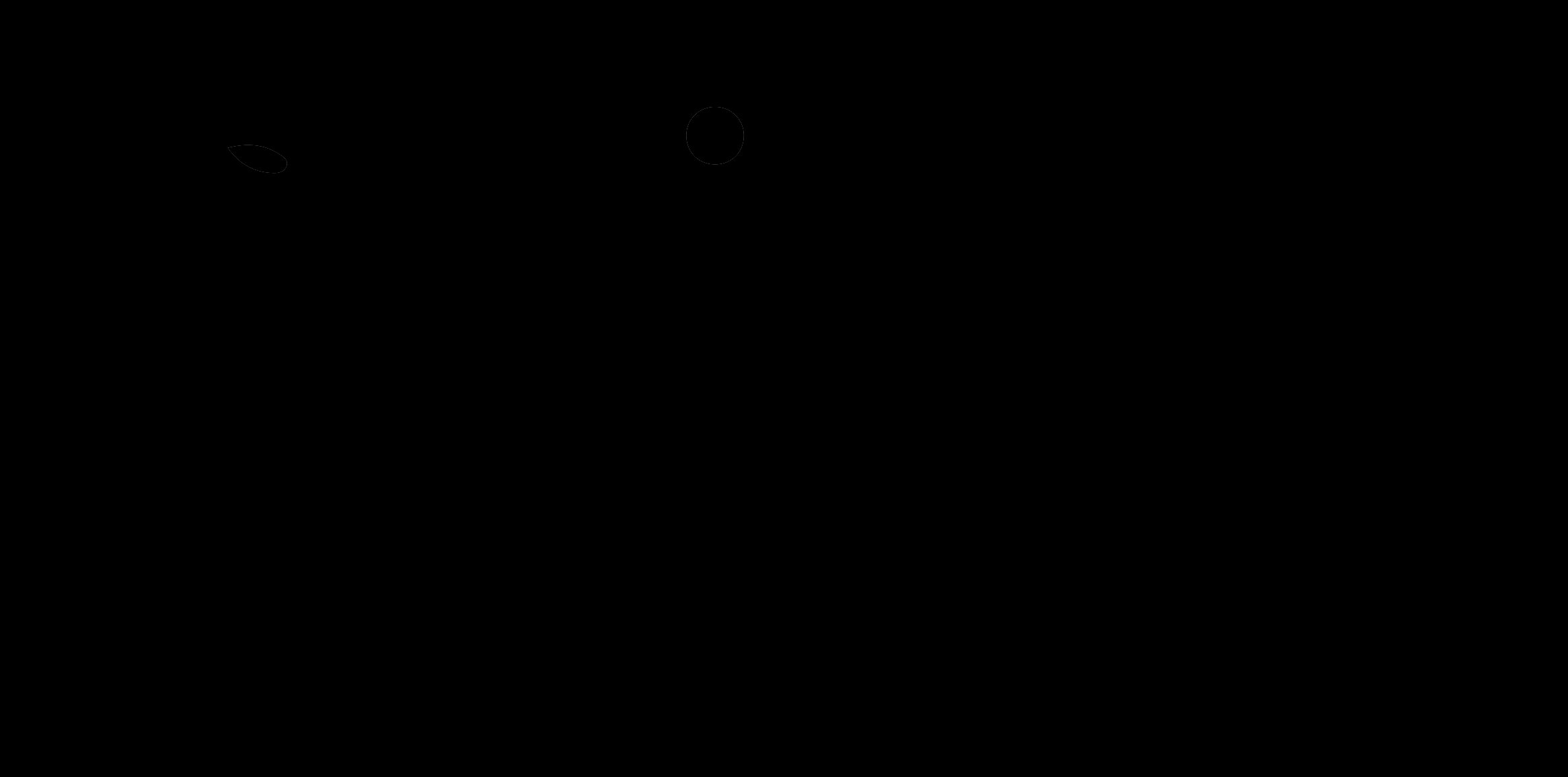 WILLE D. Studio